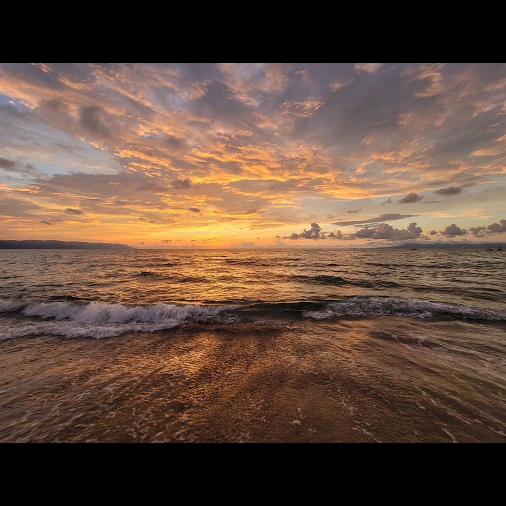 Meet your Posher, Lane